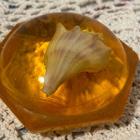 Vintage Seashells in Resin Paperweights - Picture 9 of 13